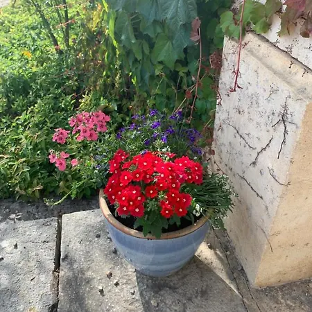 D'hotes Maison Redon