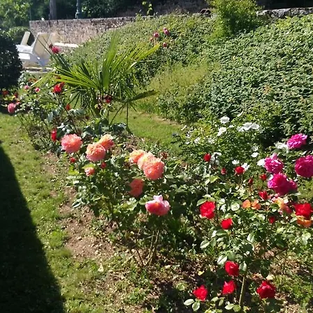 D'hotes Maison Redon Bed & Breakfast Tour-de-Faure