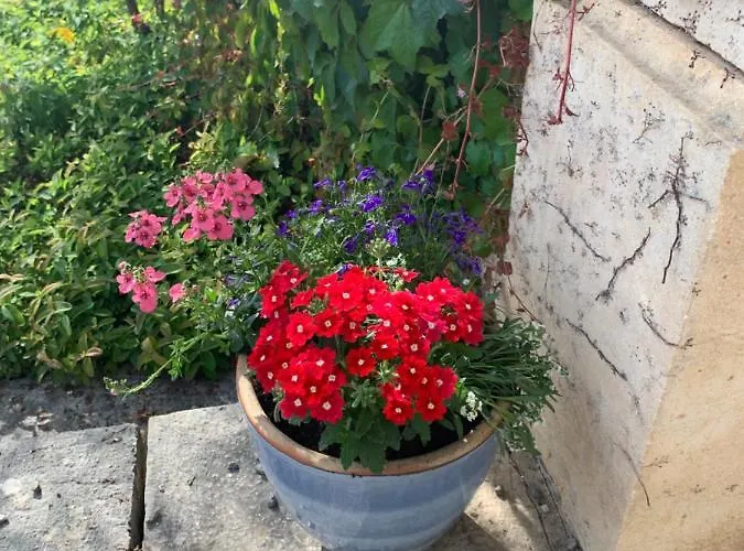 D'hotes Maison Redon