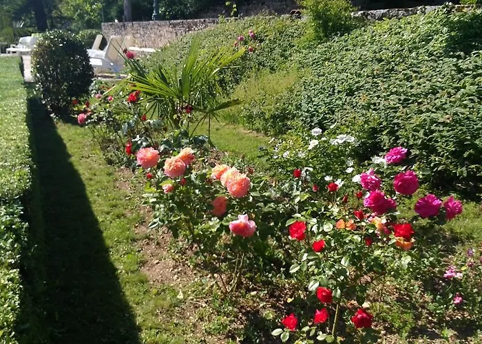 D'hotes Maison Redon Bed & Breakfast Tour-de-Faure